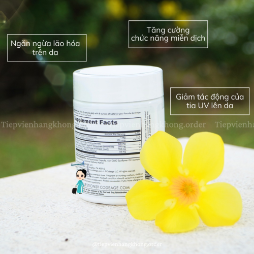 Viên Uống Chống Lão Hoá CodeAge NMN Hộp 90 Viên