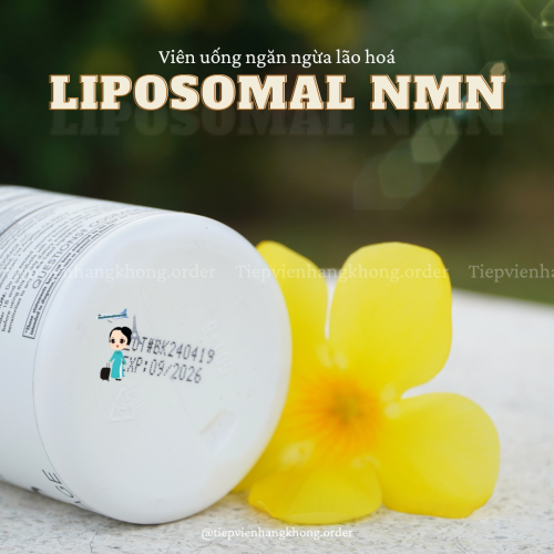 Viên Uống Chống Lão Hoá CodeAge NMN Hộp 90 Viên