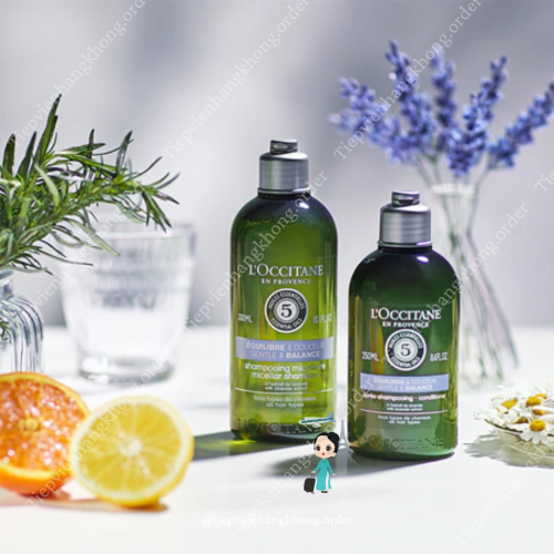 Dầu Gội L’Occitane Volume & Strength Shampoo 300ML