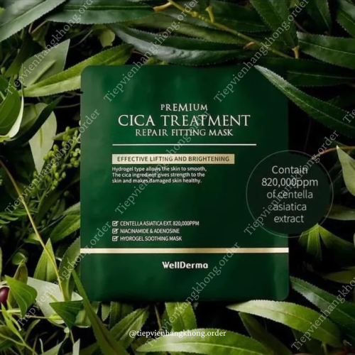 Mặt Nạ Thạch Rau Má Cho Da Mụn Wellderma Premium Cica Treatment