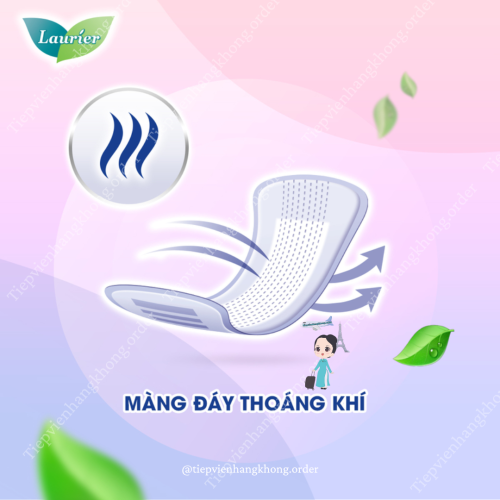 Băng Vệ Sinh Laurier Hàng Ngày Nhật 72 Miếng Hoa Cúc