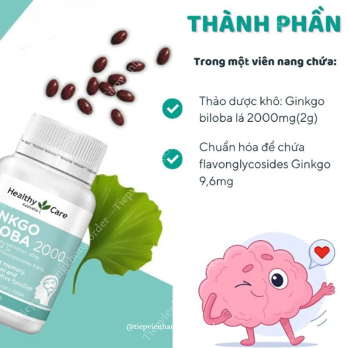 Bổ Não Ginkgo Biloba 2000 100 Viên Healthycare