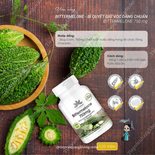 Hộp Viên Uống Mướp Đắng 120 Viên