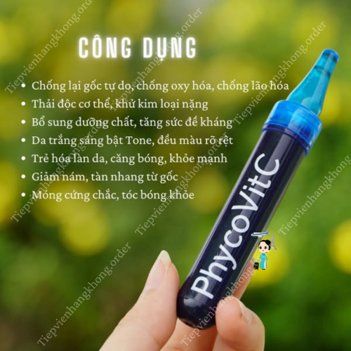 Tảo Tươi Pháp Phyco Vitc Phycocyanine 100Mg