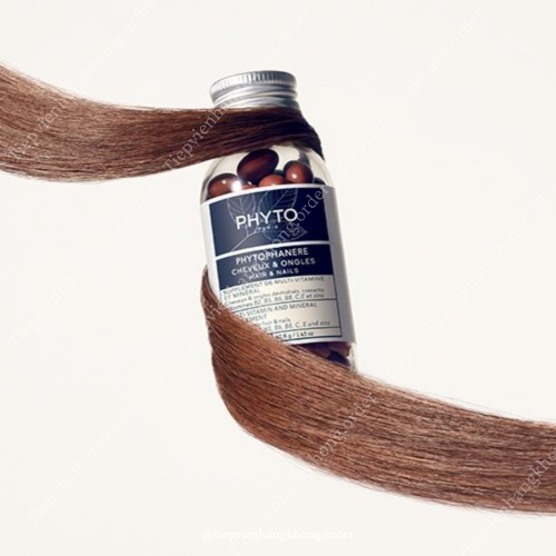 Viên Uống Mọc Tóc Phyto Pháp Lọ 120 Viên Mẫu Mới