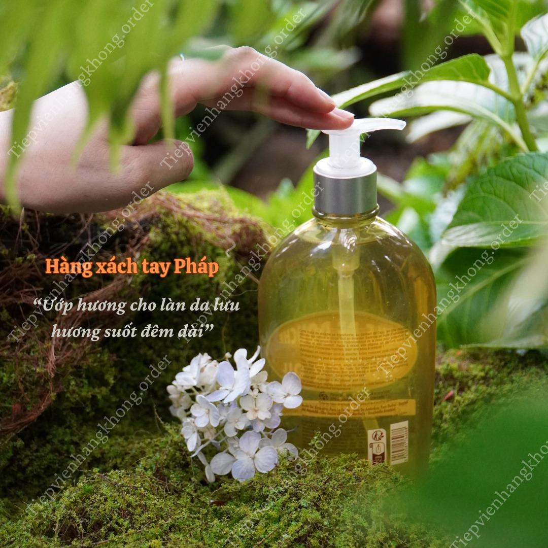 sữa tắm cao cấp