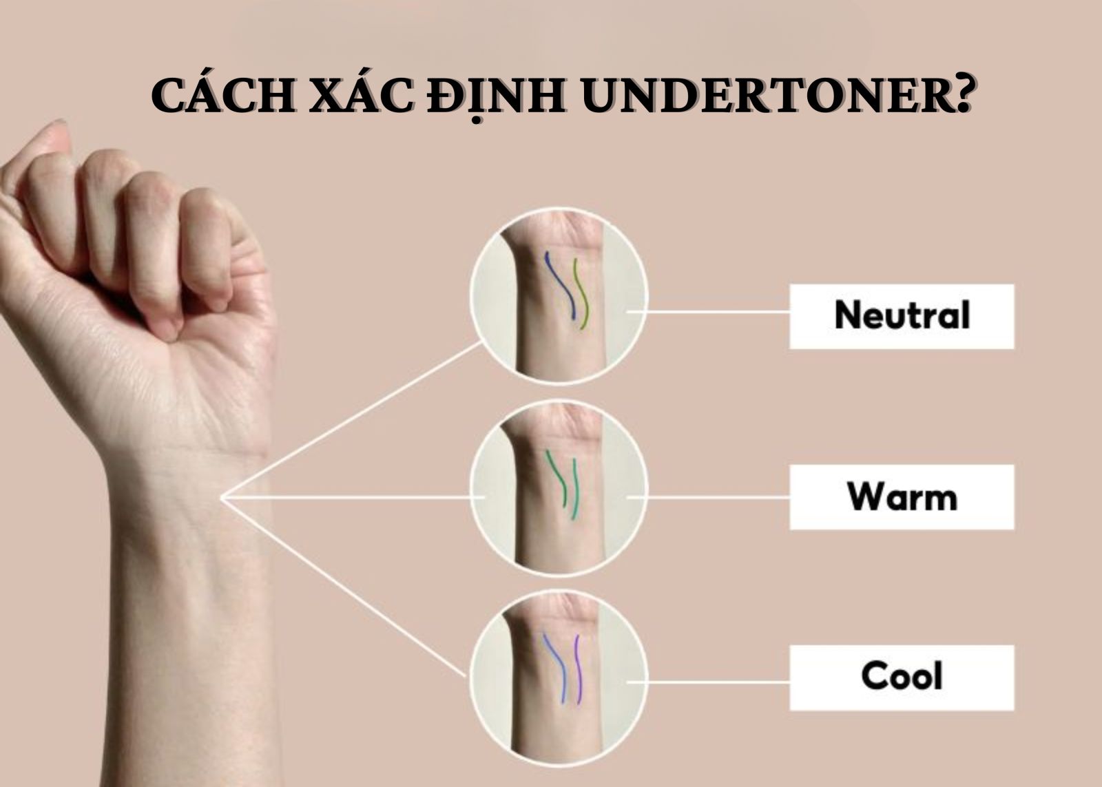 xác định undertone
